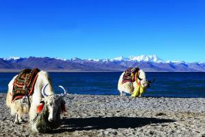 Lake Namtso